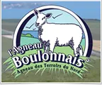 Agneau, viande local, Wimille